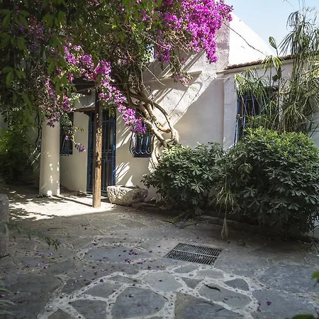 Lindsay Courtyard House Central * 博德鲁姆