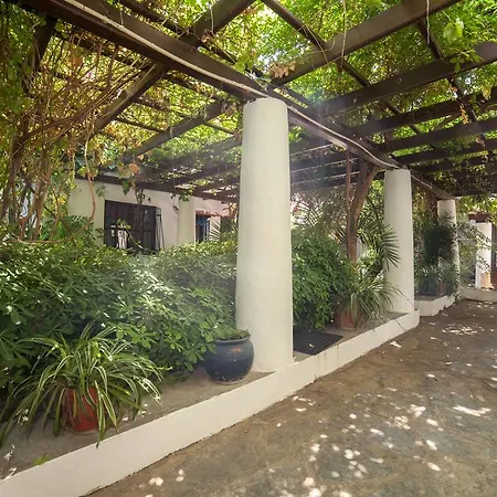 Lindsay Courtyard House Central *